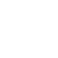 ecu_icon